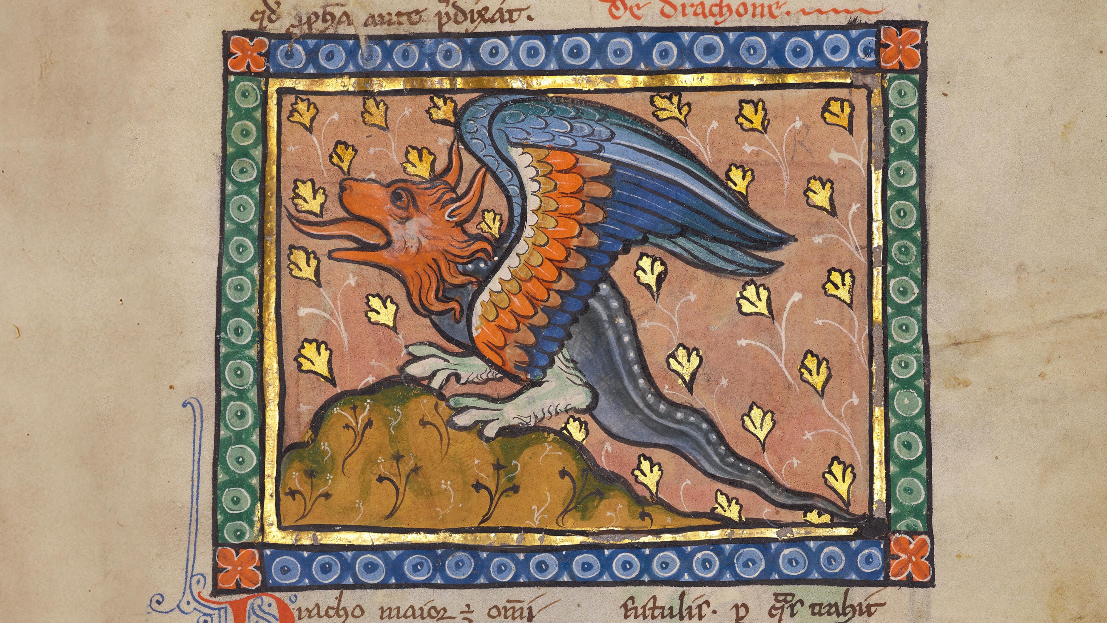 Medieval manuscript illustration of a dragon with a red head, green and blue wings, and a snake-like tail, standing on a hill. The dragon is bordered by a decorative green frame with circular patterns and a blue border with white rings. The background features golden leaf motifs.